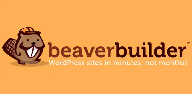 Best White Label Beaver Builder Development Agencies for 2025 2 Beaver Builder